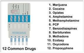 75 Veracious Passyourdrugtest Chart