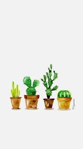 Explore {{searchview.params.phrase}} by color family. 56 Cactus Ideas Cactus Cute Wallpapers Cactus Art