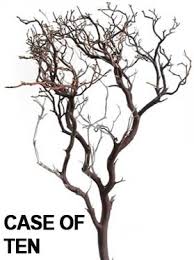 Wood knots and individual branches sprout out in every direction to add dimension to your mantle, dining room centerpiece, bookcase, and more. Natural Manzanita Branches 24 Tall Incl Ship Blooms And Branches