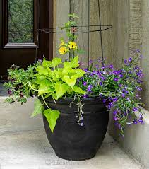 You don't have to worry about the wood breaking which is caused by exposure to the sun and wind. Flower Pot Trellis Easy And Cheap To Make But Looks Expensive