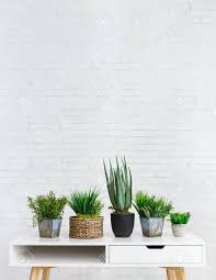 Sold as a set of 3, each stand features country style floral and scrolled details. Different House Plants In Pots On White Table At White Brick Stock Photo Picture And Royalty Free Image Image 118224753