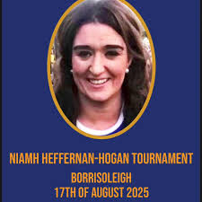 Brian Borus Camogie Club