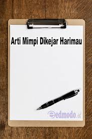 Mimpi dikejar dan digigit harimau. Arti Mimpi Dikejar Harimau Putih Jinak Dan Jadi Jadian