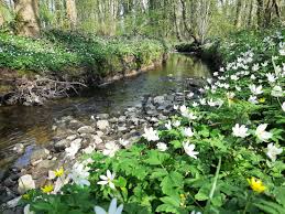 The hub at the proact stadium, 1866 sheffield road, s41 8nz: Photo Competition Winners And Full Gallery Don Catchment Rivers Trust