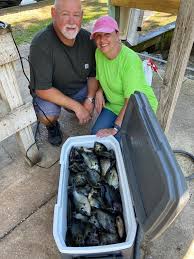 Lake georgetown is a typical highland type reservoir with steeply sloping banks covered with limestone rock in sizes ranging from gravel to boulders. St Johns County Fishing Report Perch Bluegill Redbellies Big Catches