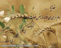 Image result for ‫حرفهایی ازجنس زیبایی‬&lrm;