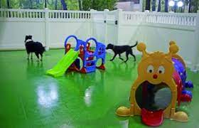 Places such as melbourne airport attract travelers to melbourne. Hanrob Pet Hotel Reviews The O Guide