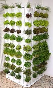 45 Amazing Indoor Garden Ideas For Small Spaces Vertical Garden Design Hydroponic Gardening Indoor Vegetable Gardening