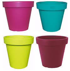 Lime green plants for pots. Bright Coloured Plant Pots Large Medium Small Planters Pink Lime Green Teal 5 99 Picclick Uk