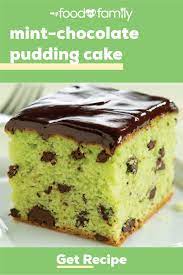 Mint Chocolate Pudding Cake Recipe Desserts Chocolate Pudding Cake Pudding Cake