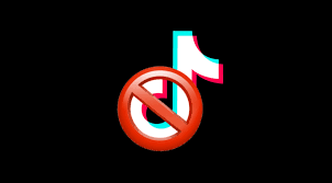 The TikTok Ban: a guide for brands
