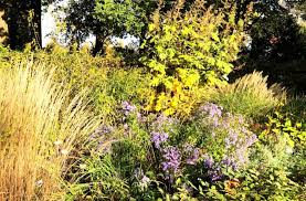 Nachrichten Gartencentrum Scheid