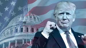 Anti trump individual vote vitamin c sanitizer vintage anti aging health protest security. What Happens If Donald Trump Wins The Us Election 2020 World The Times