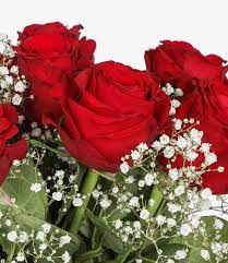 بوكيه ورد أحمر رومانسي red wedding flowers صور ورد وزهور rose. ØªÙØ³ÙŠØ± Ø­Ù„Ù… Ø§Ù„ÙˆØ±Ø¯ Ø§Ù„Ø£Ø­Ù…Ø± ÙÙŠ Ø§Ù„Ù…Ù†Ø§Ù… Ù„Ø§Ø¨Ù† Ø³ÙŠØ±ÙŠÙ† ÙˆØ§Ù„Ù†Ø§Ø¨Ù„Ø³ÙŠ Ù…ÙˆÙ‚Ø¹ Ù…ØµØ±ÙŠ
