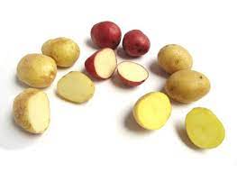 A Guide To Every Type Of Potato You Need To Know Types Of Potatoes Potato Dishes Waxy Potatoes