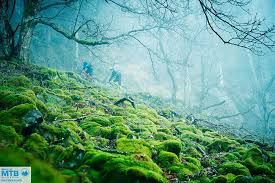Auf Trailtour Im Nordlichsten Mittelgebirge Deutschlands Unterwegs Im Harz Fotostory Mtb News De Unterwegs Mtb Nebel