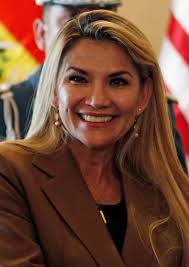 Ah, eres argentino, tengo muchos amigos en tu país. Jeanine Anez Wikipedia