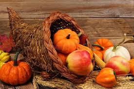 We did not find results for: 542 Decorative Cornucopia Photos Free Royalty Free Stock Photos From Dreamstime