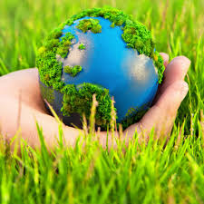 Image result for design for environment