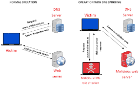 Protect Your Dns Requests With Dns Over Tls Incibe Cert