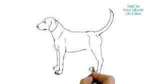 Cute chiba inu puppy sitting sticking out tongue happy cartoon. How To Draw A Dog Simple Easy Drawing Puppy Cartoon Youtube