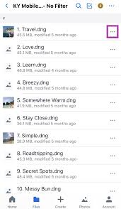 Go into your album where you imported the file and tap on the. How To Install Lightroom Mobile Presets Without Desktop