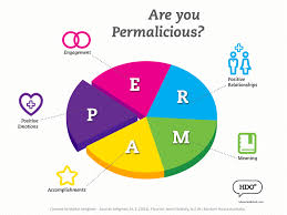 Permalicious In 2020 Positive Psychology Positivity Positive Emotions