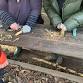 Womens One Day Bushcraft Day event image
