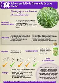 Huile Essentielle De Citronnelle De Java Proprietes Et Dangers Huile Essentielle Citronnelle Huiles Essentielles Huile Essentielle Menthe Poivree