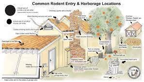 That is why it is important to take a proactive approach to managing pests. Pest Exclusion For Rodents And Insects