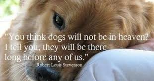 Pin By Liz Fontenot On Loss Of Fur Babies In 2020 Dog Poems Dogs Animal Quotes
