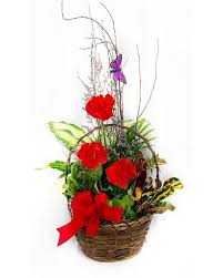 Jayden Cole Stephenson Obituary February 19, 2025