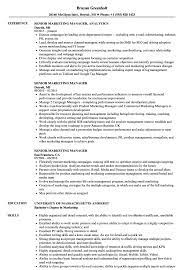 Tips and examples of how to put skills and achievements on yourresume. Senior Marketing Manager Resume Samples Velvet Jobs
