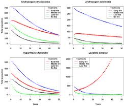 Image result for Andropogon canaliculatus