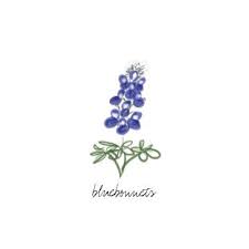 Bluebonnet Drawing Pictures Hawaiian Tattoo Hawaiian Tattoo Meanings Tattoo Prices