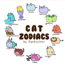 Dani Hoyos En Twitter Te Queda Muy Bien El Naranja Lumilara Https T Co Rzo0tkczxr Pusheen Cute Pusheen Cat Zodiac