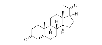 Wie sollte progesteron während einer hormonbehandlung zugeführt werden? Naturliches Und Naturidentisches Progesteron Heilpraxis Fur Naturliche Hormonregulation