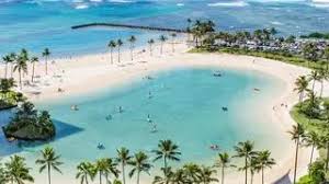 They understand the business climate we are in and respond quickly to our changing needs. Pacific Rim Christian University Honolulu Hi