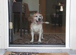 Dual retractable mesh doors and kittens. Plisse Retractable Screens And Cats A Better Solution