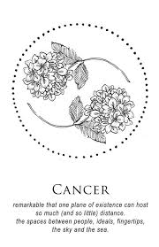 See more ideas about cancer zodiac tattoo, cancer tattoos, cancer sign. Flowers And Circle Cancer Zodiac Tattoo Cancer Tattoos Zodiac Tattoos