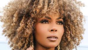 Dançarina de Beyoncé alega curtida em post contra a cantora foi engano