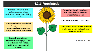 Peperiksaan an tahun sains tahun 4 2012. Nota Sains Tumbuhan Kssr Semakan Tahun 4