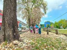 Sila masukkan destinasi anda medan selera seksyen 2 shah alam. Macam Bercuti Di Luar Negara