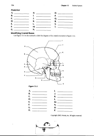 Image Result For Anatomy Labeling Worksheets Anatomy Coloring Book Human Body Worksheets Anatomy And Physiology