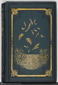 Cover Stray Feathers A Journal Of Ornithology For India Vintage Book Covers Book Cover Art Antique Books