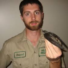 PRO BIRD CONTROL AUSTIN