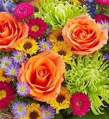 We did not find results for: Arrangement Of The Month Flowers By Month 1800flowers Com 103519