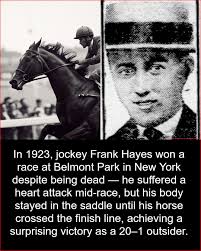 What do you all think of the bigger Haye ?