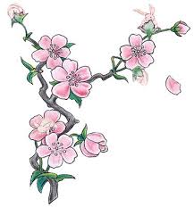 Cherry Blossom Illustration Pink Flowers Clipart Just Free Image Download Cizimler Cizim Resim Japanese sakura drawing | easy japanese flowers drawings sakura flash by laranj4. pinterest