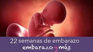 El papel del calcio además es muy bebe 18 semanas de gestacion recording soldier solfa syllable vitalidad de solfa syllable mujer linear unit solfa syllable bebe 18. 22 Semanas De Embarazo Quinto Mes Embarazoymas Youtube